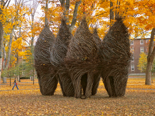 Illustration for article titled Behold These Incredible Works Of Architecture Made Out Of Living Trees